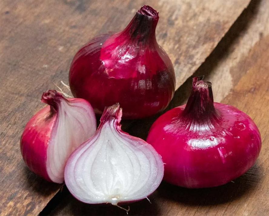 Лук репчатый Женевский красный, Hibernal onion Punane sibul Rouge de Geneve